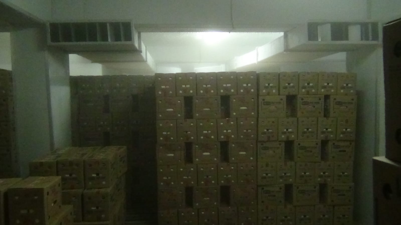 FrozenAge cold storage facility
